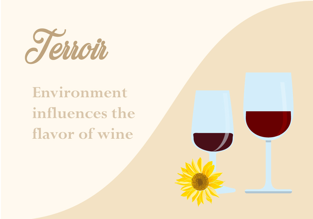 Terroir