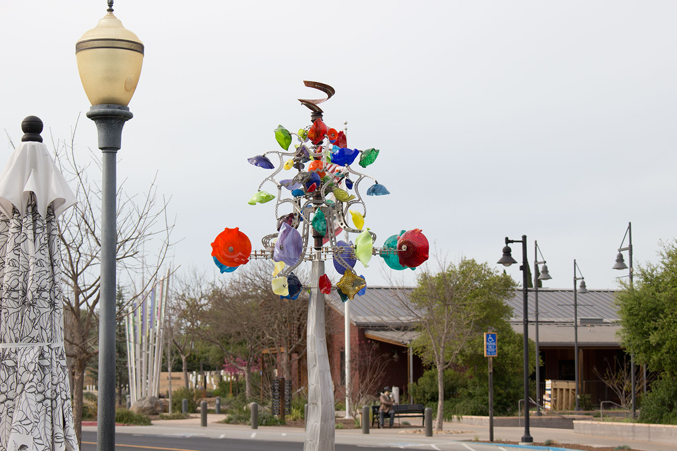 Oak Knoll, Mt Veeder, Stags Leap, Yountville