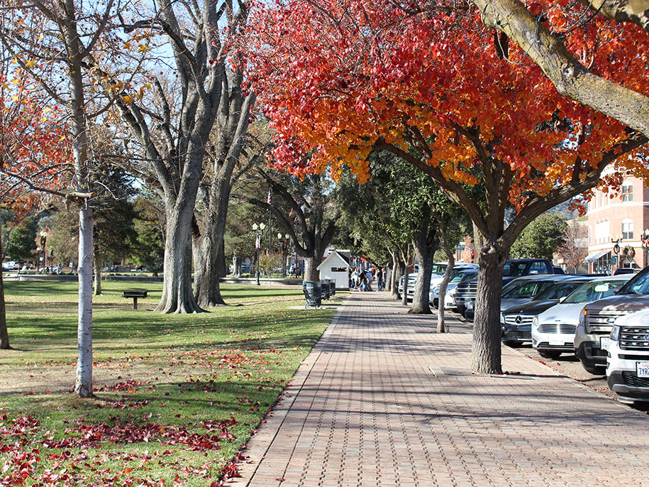 Paso Robles Downtown